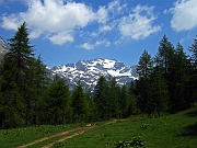 La Punta d'Arbola : devtra